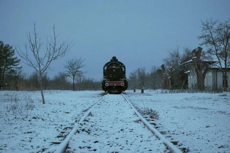 From Train Car Hustler to Electric Genius: How Failure Taught Edison to Invent Success